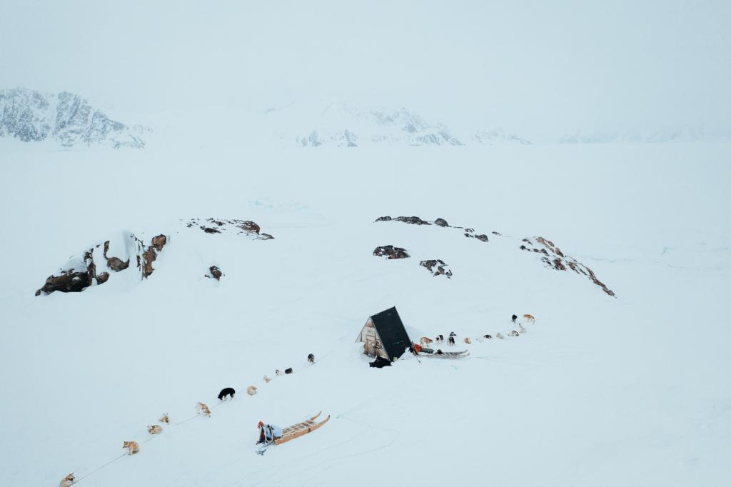 Wohlverdiente Pause für die Grönlandhunde