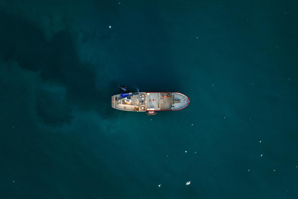 Drohnenaufnahme von der MV Vikingfjord