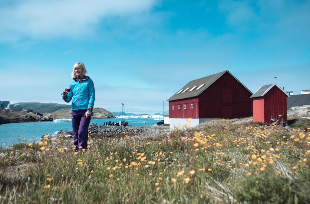 Südgrönland individuell entdecken