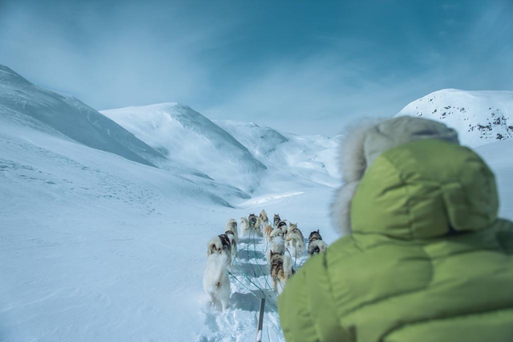 A true winter adventure - dog sledding in Greenland