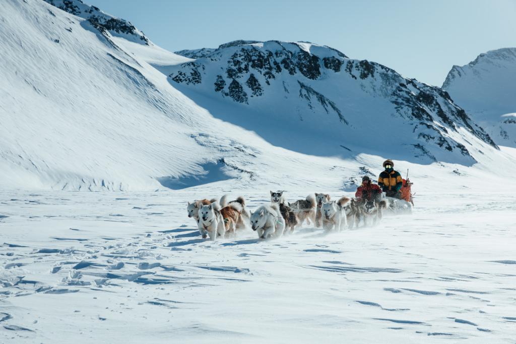 Dog sledding trip in Liverpool Land in Greenland