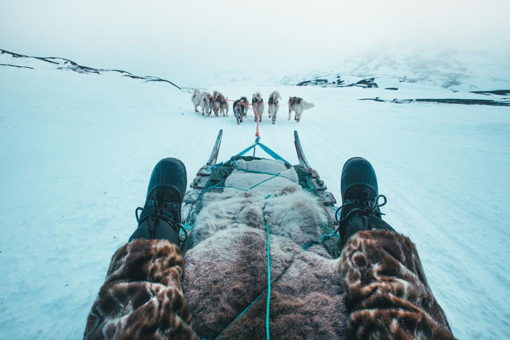 Heading out of Ilulissat by dog sled  